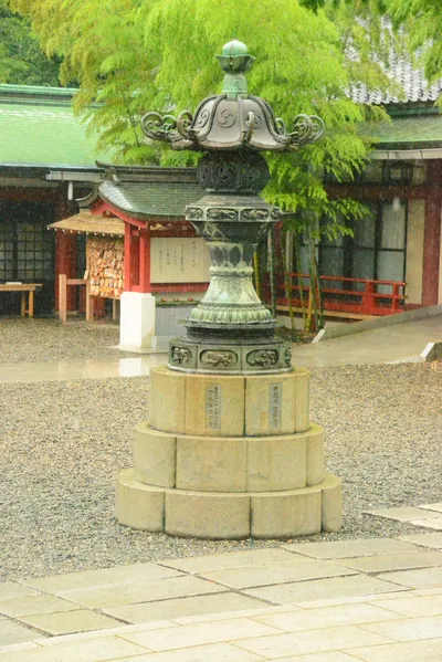 DSC_3199 (Large).JPG